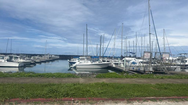 Sail boats docked in a small boat harbor with green grass in fornt.