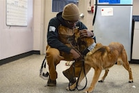 Senior Airman Jordon Johnson pets MWD Bulit.