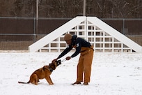 Senior Airman Jordan Johnson and MWD Bulit play with a rope toy in the snow.