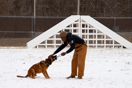 Senior Airman Jordan Johnson and MWD Bulit play with a rope toy in the snow.