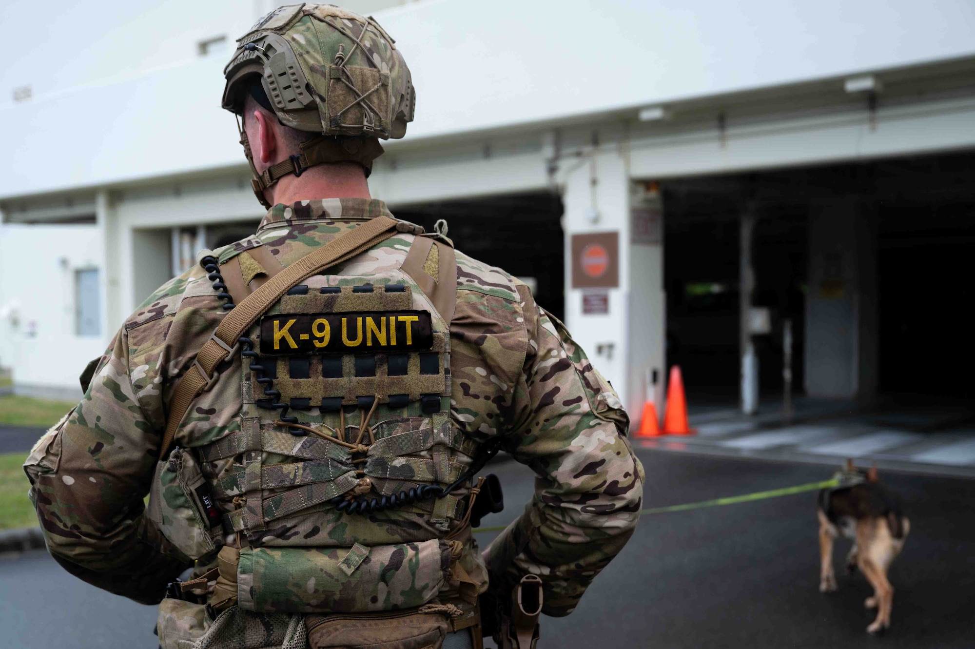 Airman and military working dog patrol areas for simulated UXO.