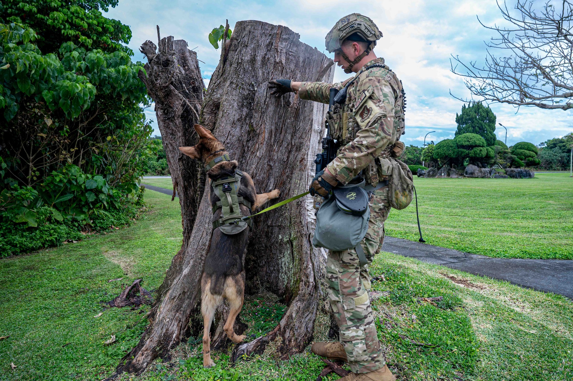Airman and military working dog patrol areas for simulated UXO.