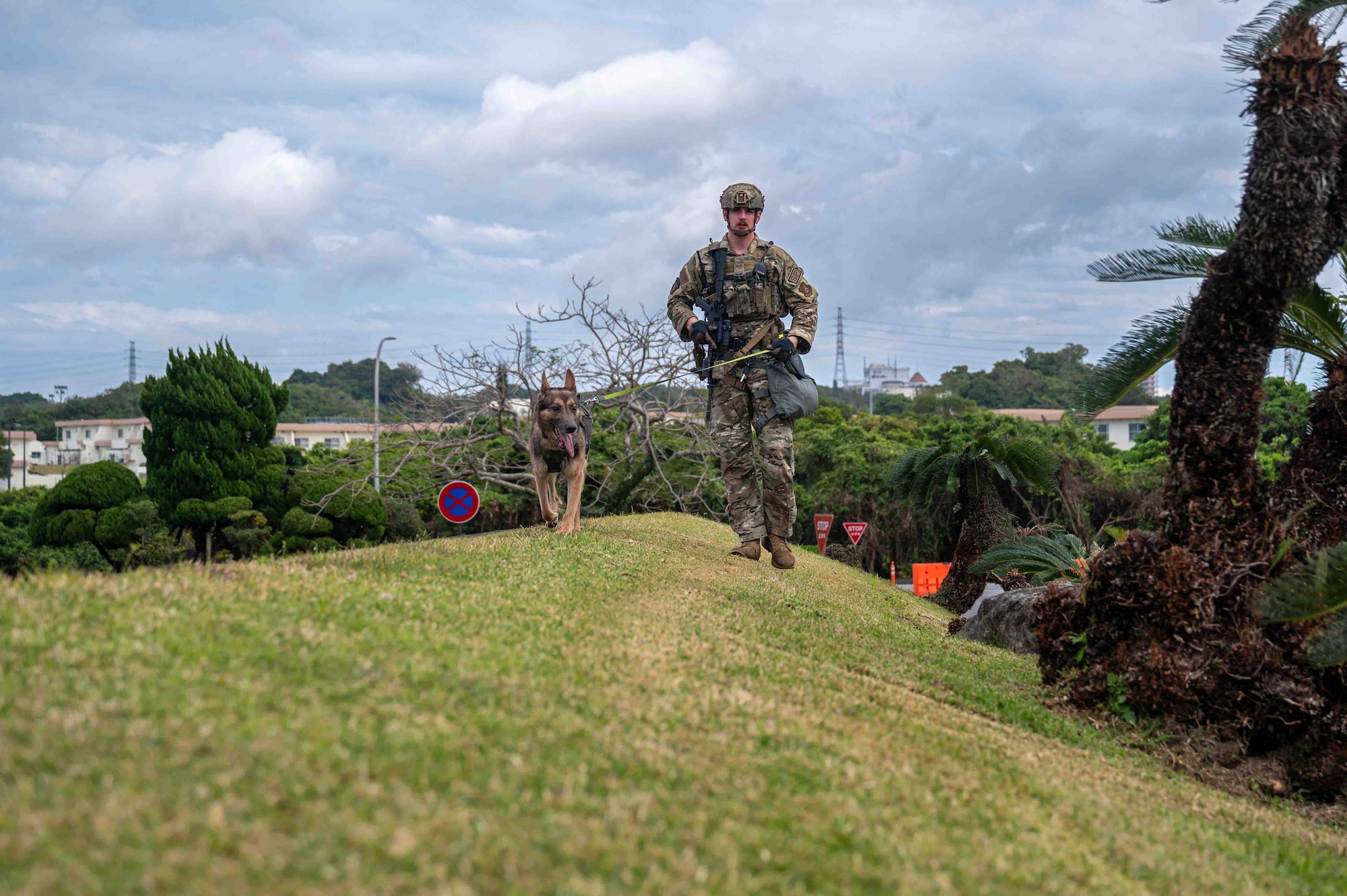 Airman and military working dog patrol areas for simulated UXO.