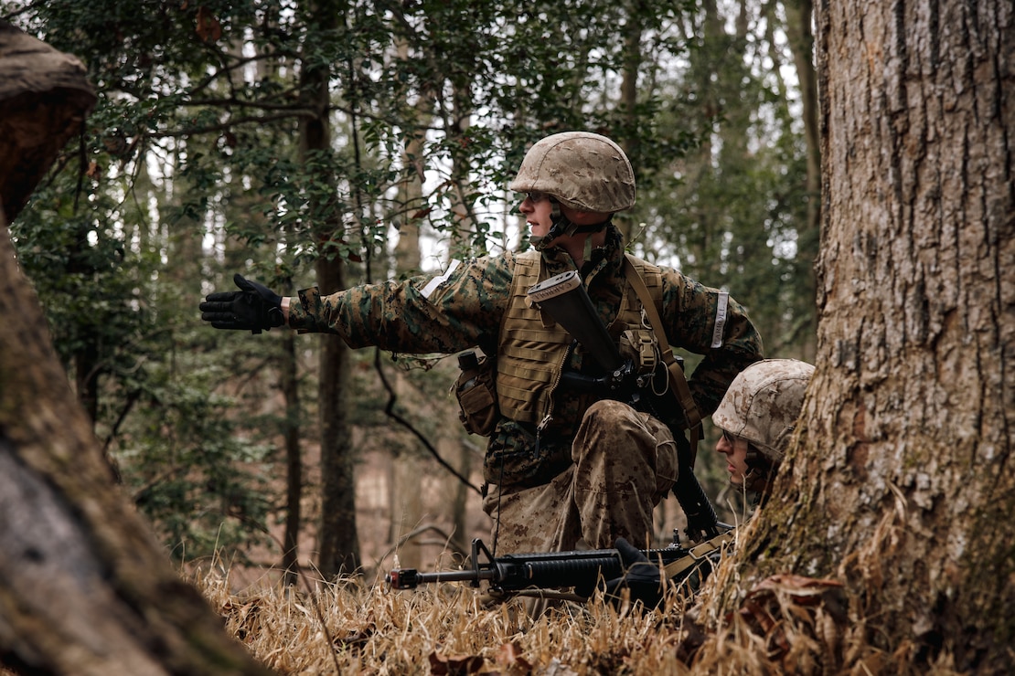 U.S. Marine Corps candidates with Officer Candidates Course 251, Company A, Officer Candidates School participate in Small Unit Leadership Evaluation 2 at Marine Corps Base Quantico, Virginia, March 4, 2026. Candidates are evaluated on the application of learned concepts from SULE 1, leadership, and decision making ability in the role of a fire team leader. (U.S. Marine Corps photo by Cpl. Joshua Barker)