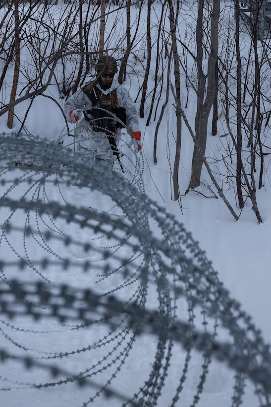 CORE 26 | Norwegians, U.S. Marines Set Up Entry Control Points during Arctic Exercise