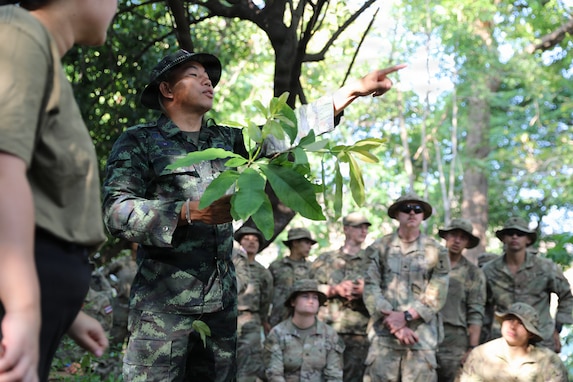 U.S. Army Reserve Soldiers learn jungle survival from Royal Thai Army