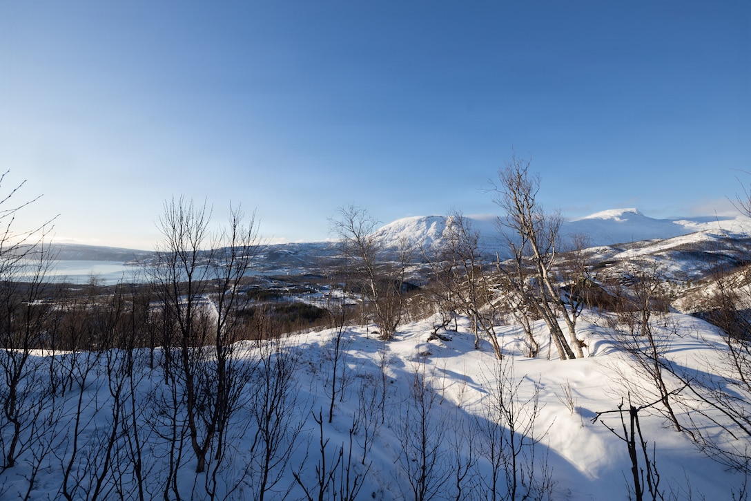 U.S. Marines with 4th Law Enforcement Battalion, Force Headquarters Group hike up a mountain in Elvegardsmoen, Norway, March 2, 2026. The brief helped familiarize the Marines with the Norwegian terrain during exercise Cold Responses 26.  A key component of NATO's enhanced vigilance activity Arctic Sentry, exercise Cold Response 26 is a Norwegian-led winter military exercise designed to enhance collective defense capabilities and ensure U.S. readiness to rapidly deploy and seamlessly operate alongside NATO Allies in challenging arctic conditions. (U.S. Marine Corps photo by Sgt. Emily De La Torre)