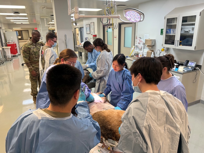 106th MDVSS Enhances Readiness