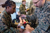 MCWL Participates in Cold Response