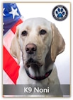 Naval Criminal Investigative Service K-9 Noni poses for her official photo.