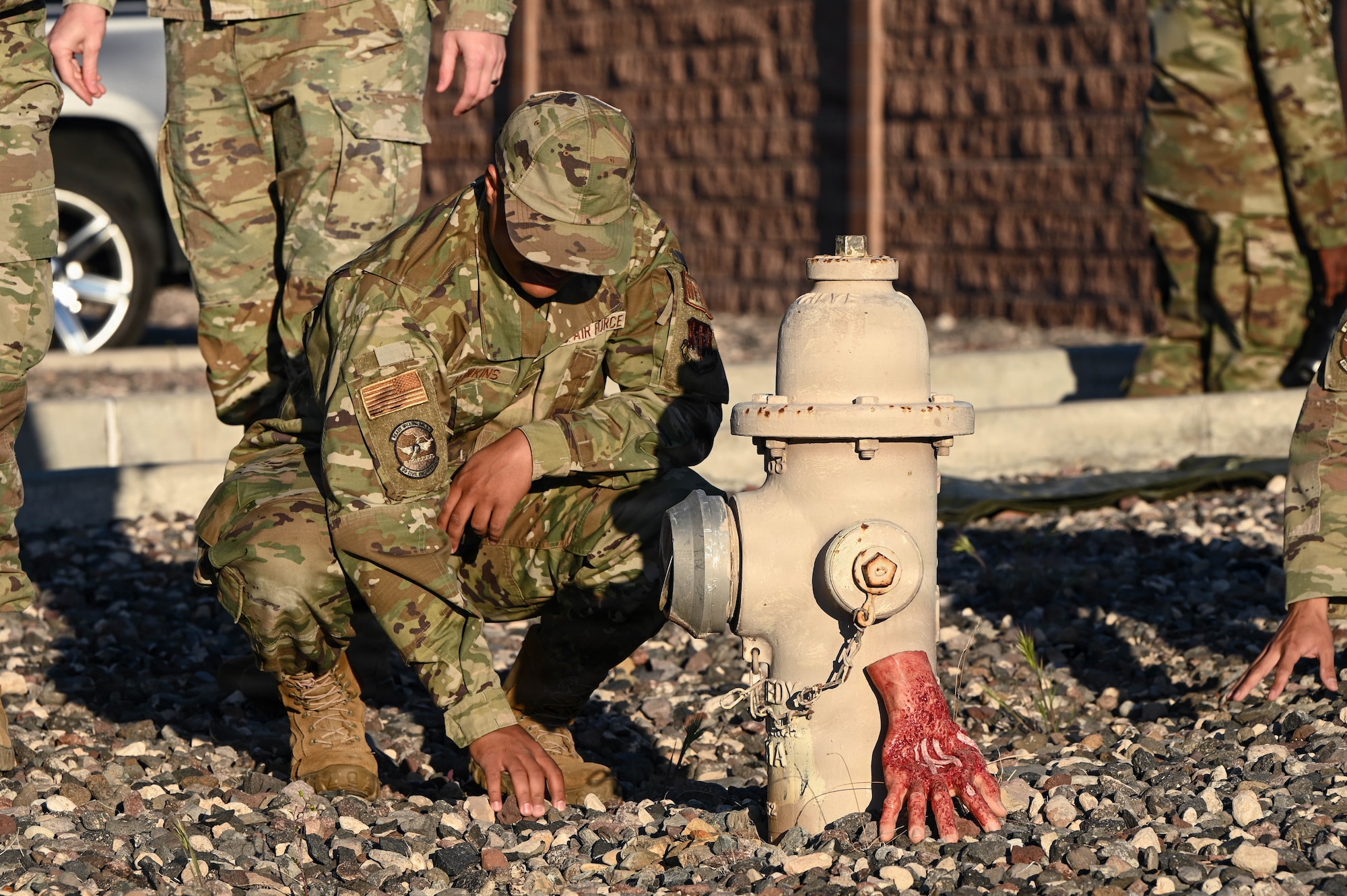 Search and recovery simulation