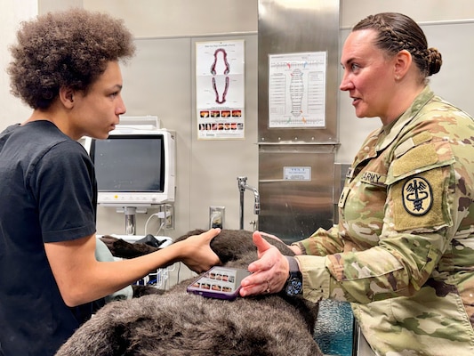 Brayden Hart, a student from W.T. Sampson Elementary and High School, locates the pulse on a canine training manikin during a hands-on activity at the veterinary clinic onboard Naval Station Guantanamo Bay, Cuba, March 10, 2026. U.S. Army Staff Sgt. Megan Sexton, a veterinary technician, guided students as they practiced identifying and measuring heart rate as part of a field trip hosted by U.S. Navy Medicine Readiness and Training Command Guantanamo Bay to introduce students to careers in military medicine. (U.S. Navy photo by Emily McCamy)
