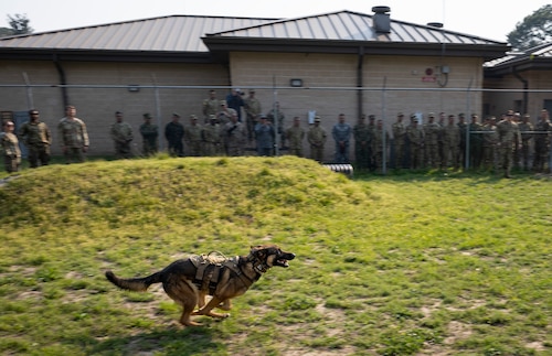 Columbian Sergeant Major course