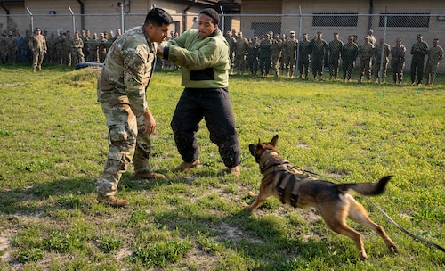Columbian Sergeant Major course