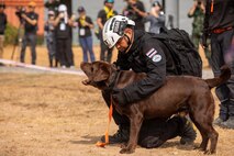 Mi‑6, the royal pet dog of Her Royal Highness Princess Sirivannavari Nariratana Rajakanya, prepares for a search as part of the humanitarian assistance and disaster relief demonstration during Exercise Cobra Gold 2026 at the Disaster Relief Training Centre, Phanom Sarakham District, Chachoengsao, Thailand, Feb. 27, 2026.