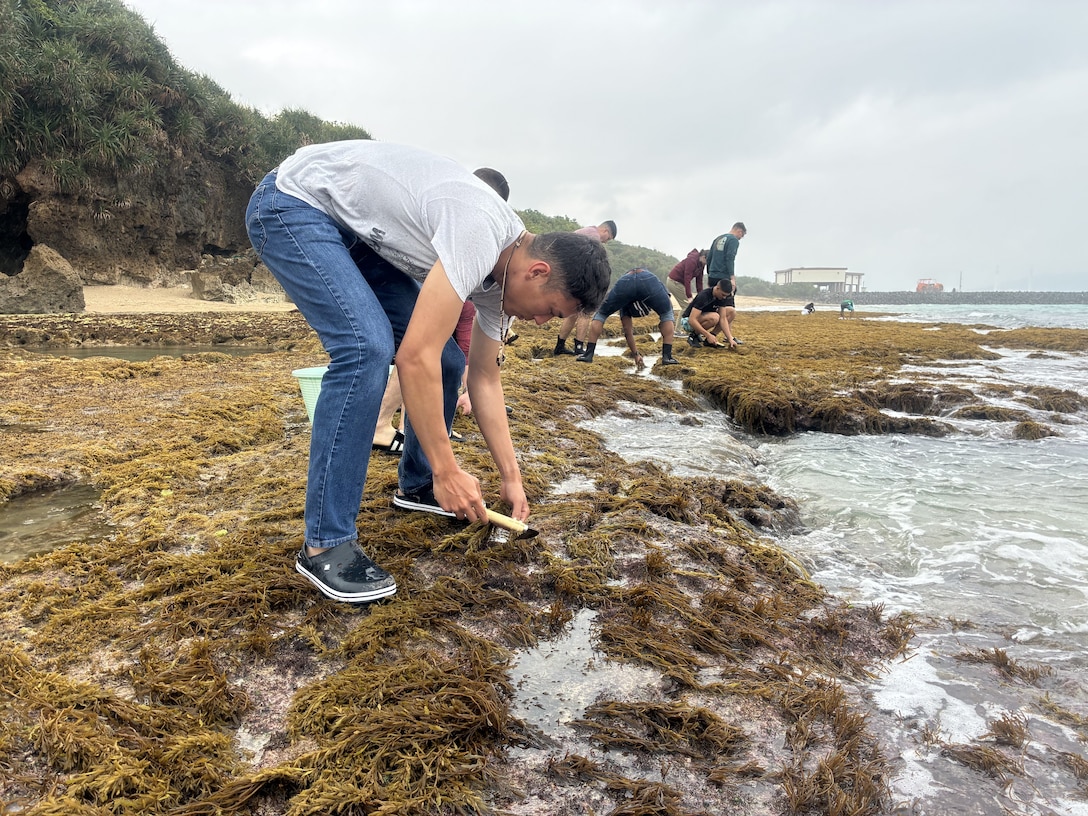 2026年3月21日、海兵隊キャンプ・ハンセンのシングル・マリーン・プログラム（SMP)に所属する隊員8人が、うるま市の住民方々とともにキャンプ・コートニーにおいて恒例のひじき狩りを行いました。