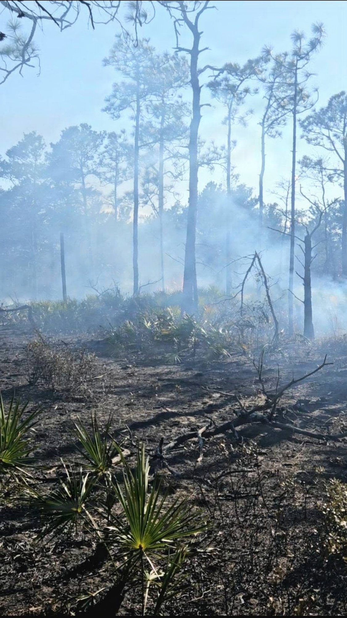 Smoke fills the air from a wildfire.