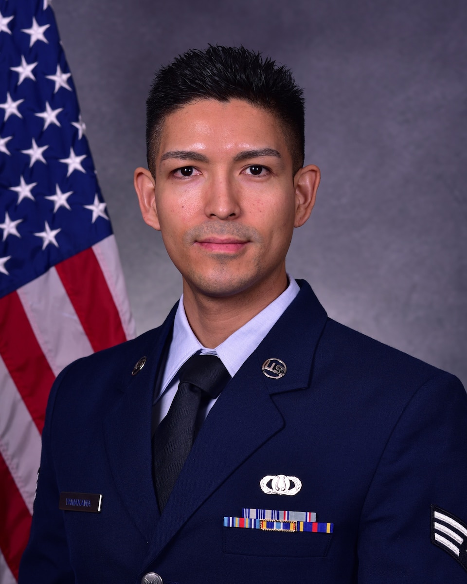 Official Jin Portrait