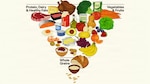 Protein, Dairy and Healthy Fats
Vegetables and Fruits
Whole Grains