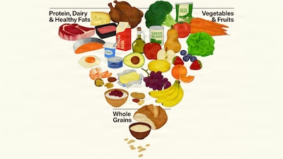 Protein, Dairy and Healthy Fats
Vegetables and Fruits
Whole Grains