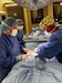 Schofield Barracks Veterinary Treatment Facility Surgery