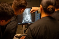 Joint service radiology training
