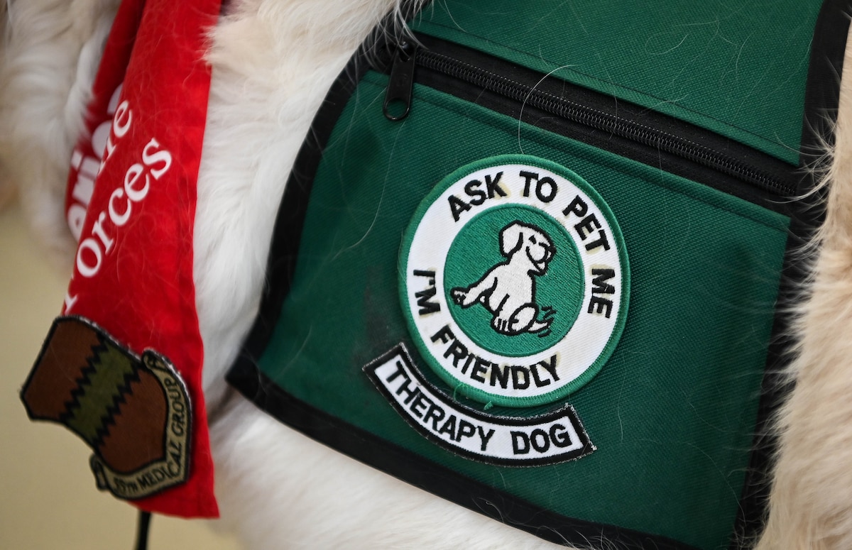 Therapy dog, Izy, shows off her patches while visiting the 55th Medical Group's Ehrling Bergquist clinic in Bellevue, Neb., Jan. 9, 2026. Izy's owner and handler, Sharon Hall, has volunteered her therapy dog services for more than 15 years. (U.S. Air Force photo by Daniel Martinez)