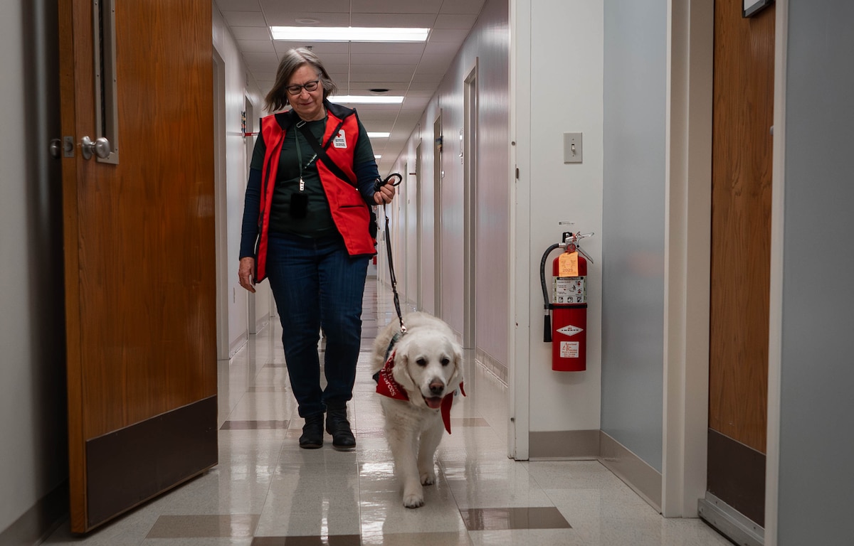 Sharon Hall, American Red Cross volunteer and therapy dog handler, walks her therapy dog, Izy, through the halls of the 55th Medical Group's Ehrling Berquist clinic in Bellevue, Neb., Feb. 13, 2026. Izy is a nine-and-a-half-year-old golden retriever who is specially trained to be a therapy dog. (U.S. Air Force photo by Daniel Martinez)