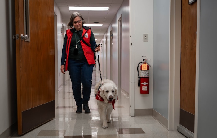 Sharon Hall, American Red Cross volunteer and therapy dog handler, walks her therapy dog, Izy, through the halls of the 55th Medical Group's Ehrling Berquist clinic in Bellevue, Neb., Feb. 13, 2026. Izy is a nine-and-a-half-year-old golden retriever who is specially trained to be a therapy dog. (U.S. Air Force photo by Daniel Martinez)