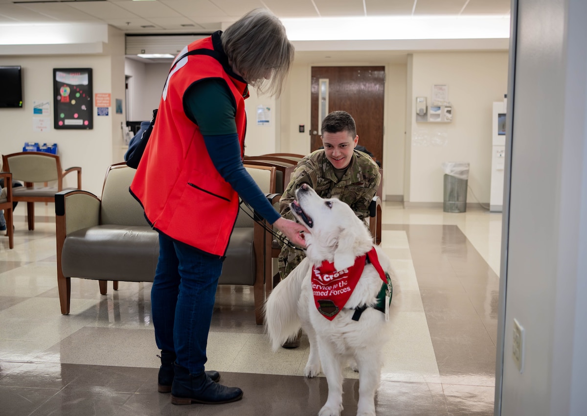 Sharon Hall, American Red Cross volunteer and therapy dog handler, introduces her therapy dog, Izy, to Staff Sgt. Lucas Park, 97th Intelligence Squadron airborne linguist, during a visit to the 55th Medical Group's Ehrling Berquist clinic in Bellevue, Neb., Feb. 13, 2026. Izy is as nine-and-a-half-year-old golden retriever who has been specially trained to be a therapy dog. (U.S. Air Force photo by Daniel Martinez)