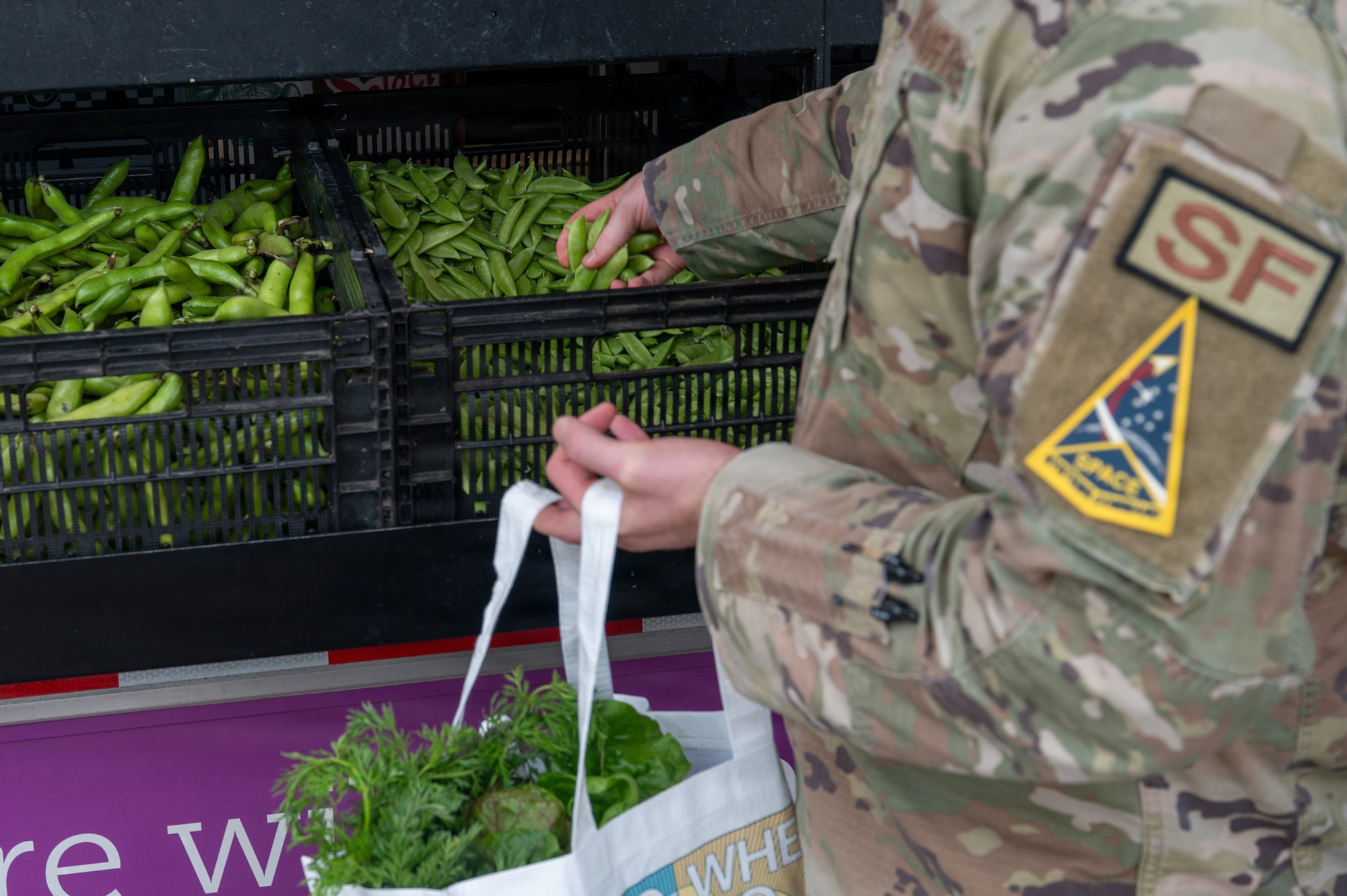 A person reaches out to grab a handful of green beans.