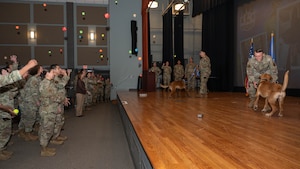 U.S. Airmen throw tennis balls toward the stage during a military working dog retirement ceremony at Dyess Air Force Base, Texas, April 29, 2026. The ceremony celebrated the transition of MWDs Baker and Dduco from active duty to retirement. (U.S. Air Force photo by Airman 1st Class William Neal)