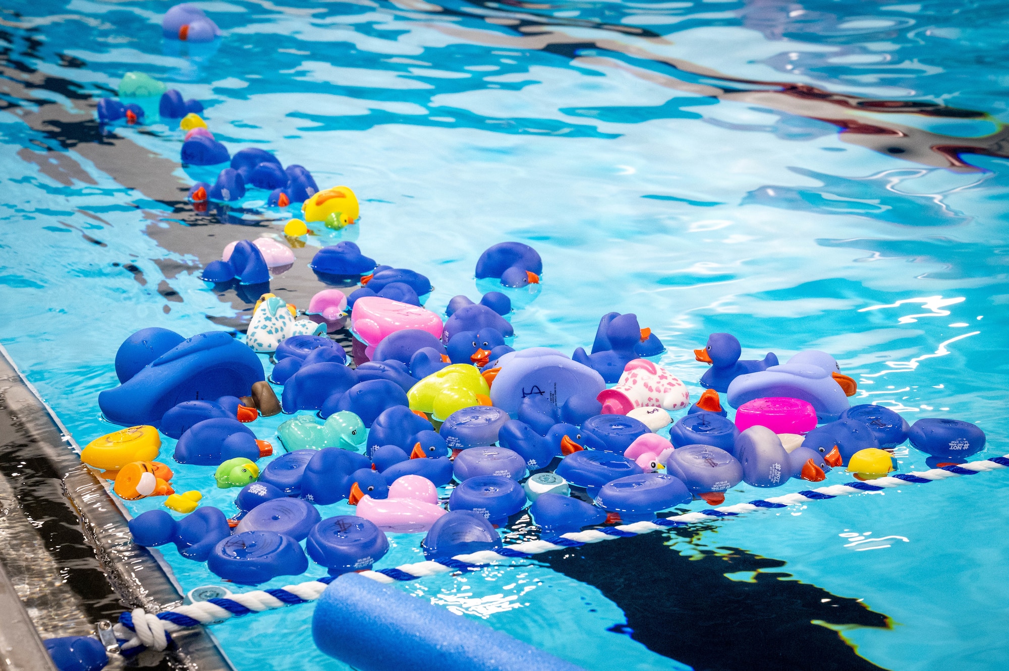 Rubber ducks float in the water during the Rubber Ducky Round-up event at Joint Base Elmendorf Richardson, Alaska, April 10, 2026. The Rubber Ducky Round-up is an annual event that families around the installation can participate in, highlighting April’s Sexual Assault Awareness and Prevention Month. (U.S. Air Force photo by Airman 1st Class Owen Davies)