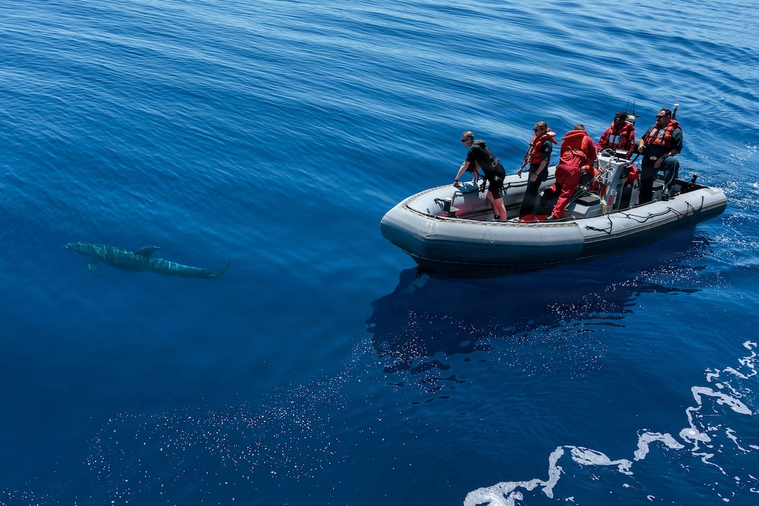 Sailors wearing red life vests in an inflatable boat watch a dolphin as it swims under deep, blue water during the day.