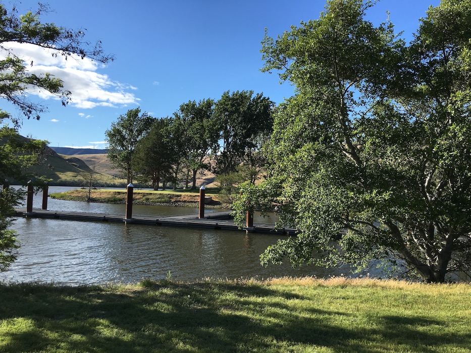 A calm river bordered by green grass and leafy trees, with a small wooden dock extending into the water. Sunlight filters through the branches, and rolling hills rise in the background under a bright blue sky with a few scattered clouds.