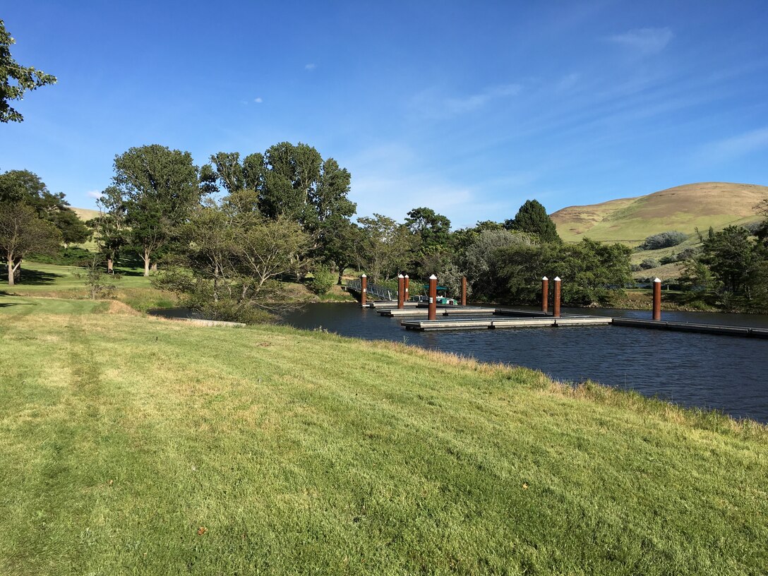 A wide grassy park beside a river with several empty floating docks lined up along the water. Trees cluster along the riverbank, and gentle hills stretch into the distance beneath a clear blue sky.