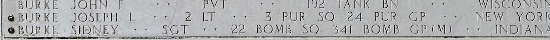 U.S. Army Air Forces 2nd Lt. Joseph L. Burke