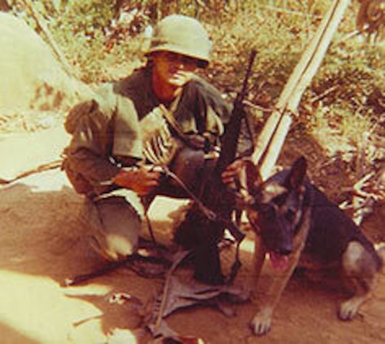 A man in a military uniforms and helmet squats on the ground outside with a dog.