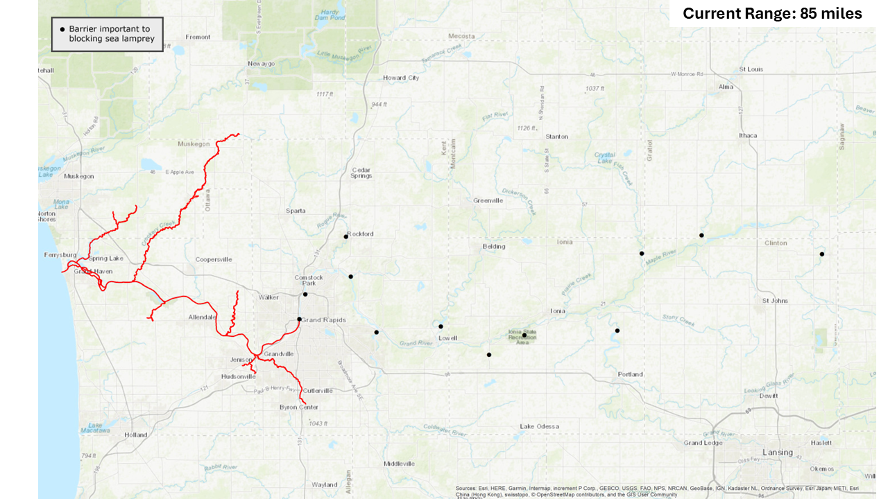 Map showing 85 miles of Grand River accessible to sea lamprey with barrier in place