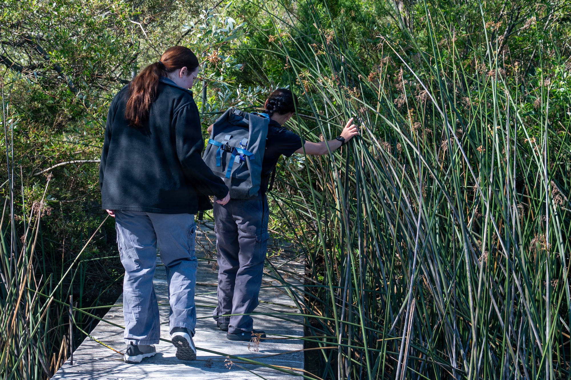 Two people walk on a dock and move brush aside to clear a path.