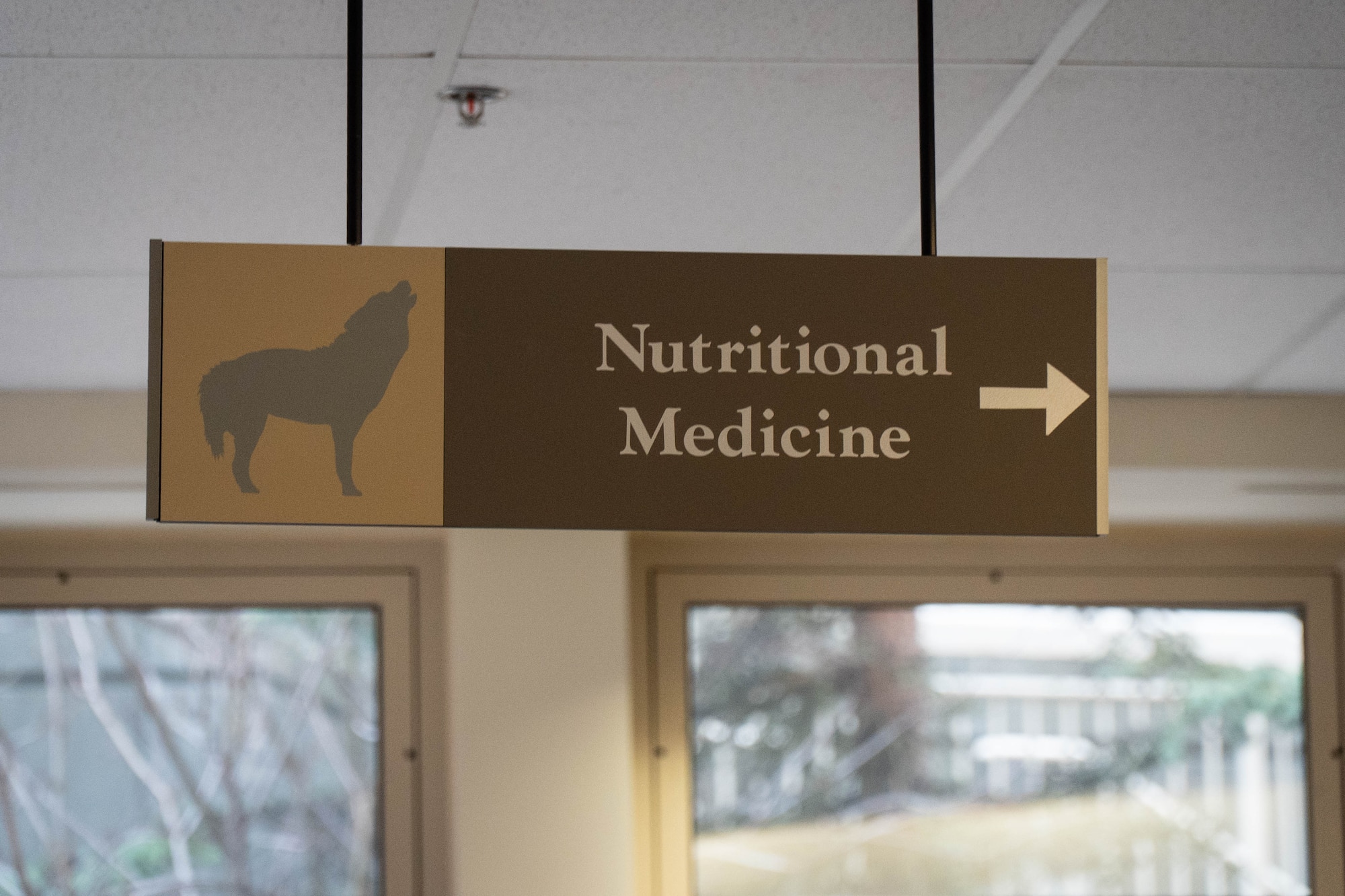 A sign identifies the entrance to the Nutritional Medicine Flight clinic at the hospital on Joint Base Elmendorf-Richardson, Alaska, March 27, 2026. The flight provides inpatient and outpatient services, including specialized medical nutrition therapy and performance-based dietary counseling to support the health and readiness of the installation's military personnel. (U.S. Air Force photo by Airman 1st Class Keola Vischi)