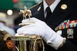 Staff Sgt. Jonathan Miller of the 617th Military Police Company escort the winner's trophy onto the Paddock at the 152nd running of the Kentucky Derby at Churchill Downs in Louisville, Kentucky, May 2, 2026. Soldiers of the 617th Military Police Company displayed the trophy on the Paddock to guests and viewers as the trophy was captured for live televised broadcast.  (U.S. Army National Guard photo by Staff Sgt. Caleb Sooter)