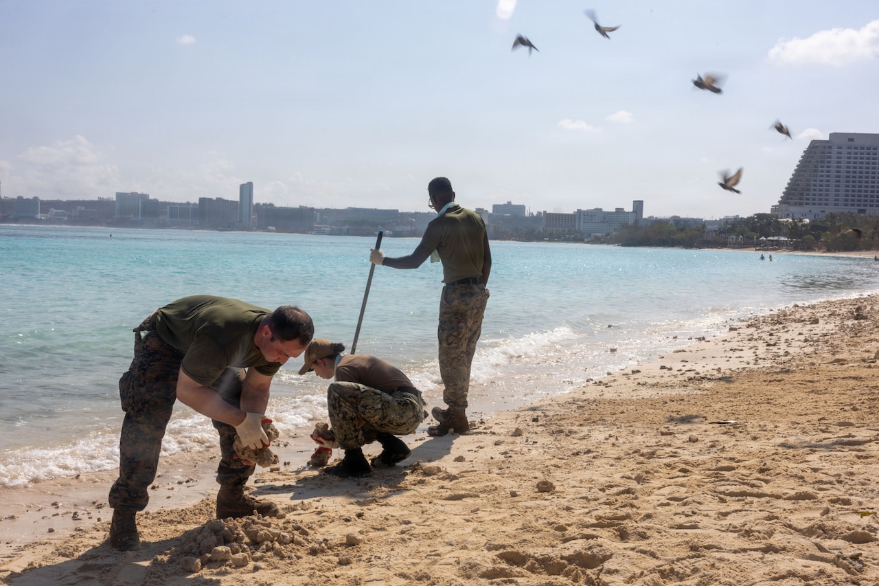 Two men and one woman remove debris from a beach as birds fly away; there are hotels and other buildings around the water in the background.