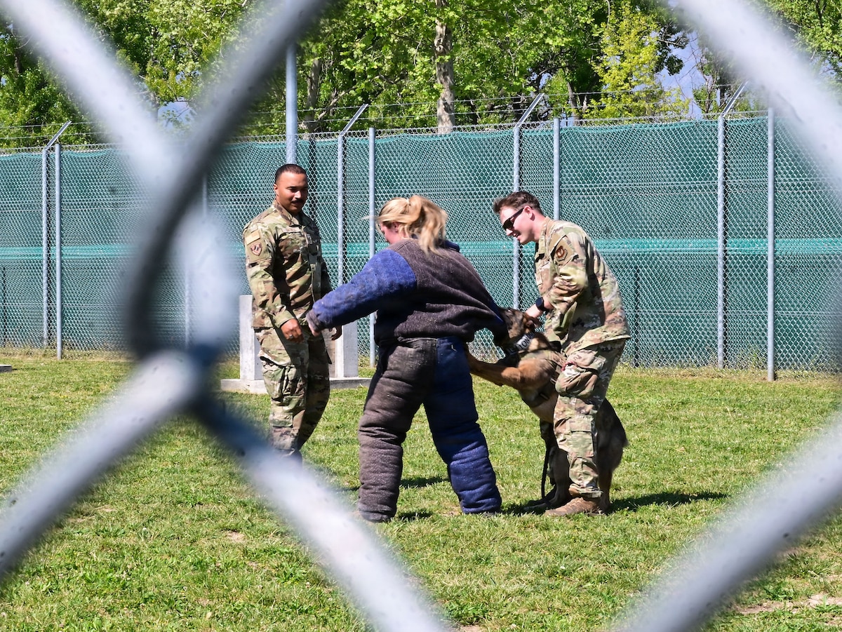 Aviano AB Wing chief tours K9 Unit