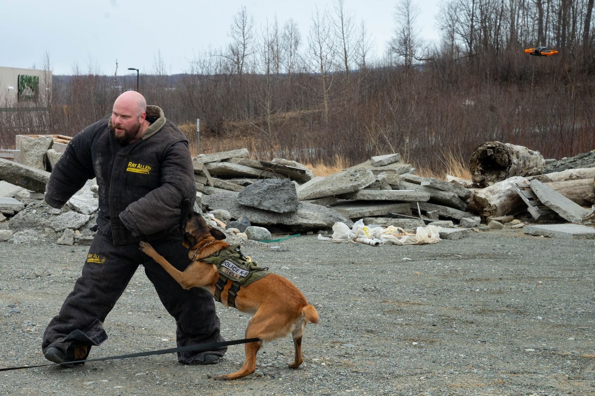 Wasilla Police Department Officer Cody Rice gets bitten by Wasilla PD K-9, Centa J during a scenario in Wasilla, Alaska, April 30, 2026. This scenario was simulating an armed engagement during a traffic stop and utilized the drone to observe if the suspect was armed before the supporting K-9 unit could move in. (U.S. Air Force photo by Airman 1st Class Owen Davies)