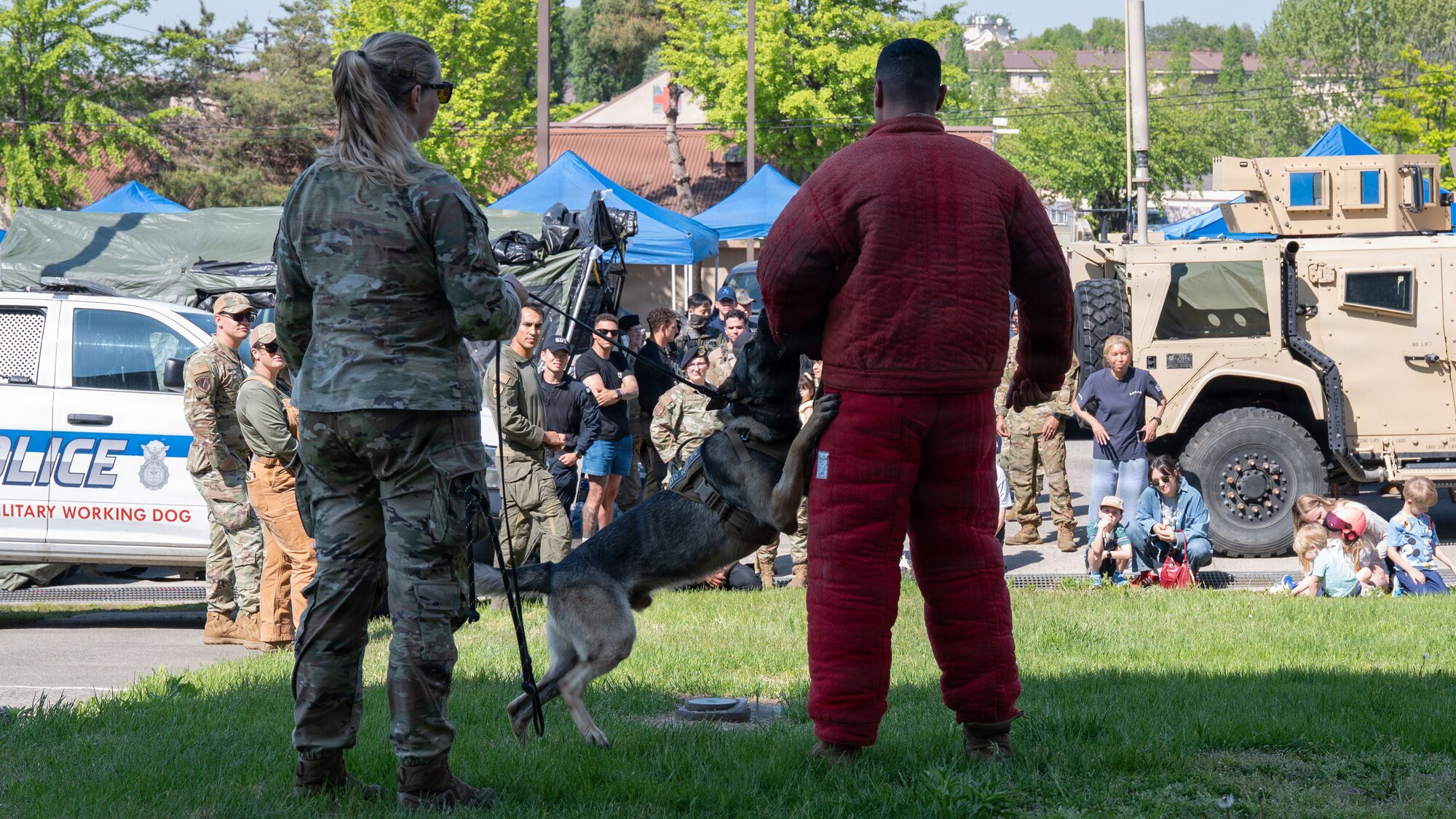 U.S. Airmen assigned to the 51st Security Forces Squadron perform a K-9 demonstration during Police Week at Osan Air Base, Republic of Korea, May 5, 2026. The exhibit offered a closer look at security forces mission sets and their role in maintaining installation security. (U.S. Air Force photo by Senior Airman Rome Bowermaster)