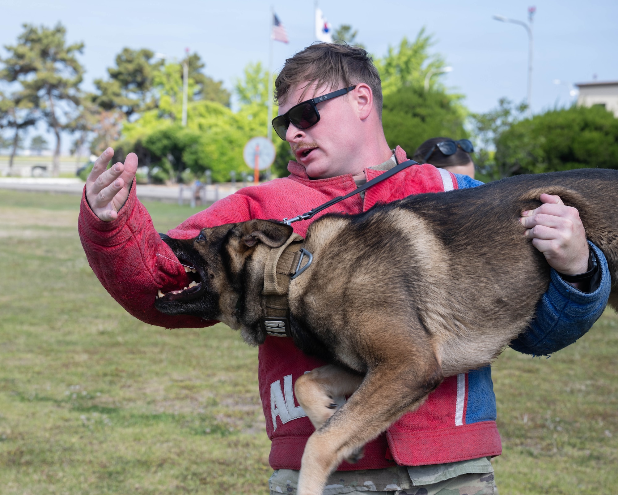 Airman demonstrates K-9 tactics.