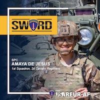 Sword 26 profile highlight