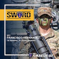 Sword 26 profile highlight