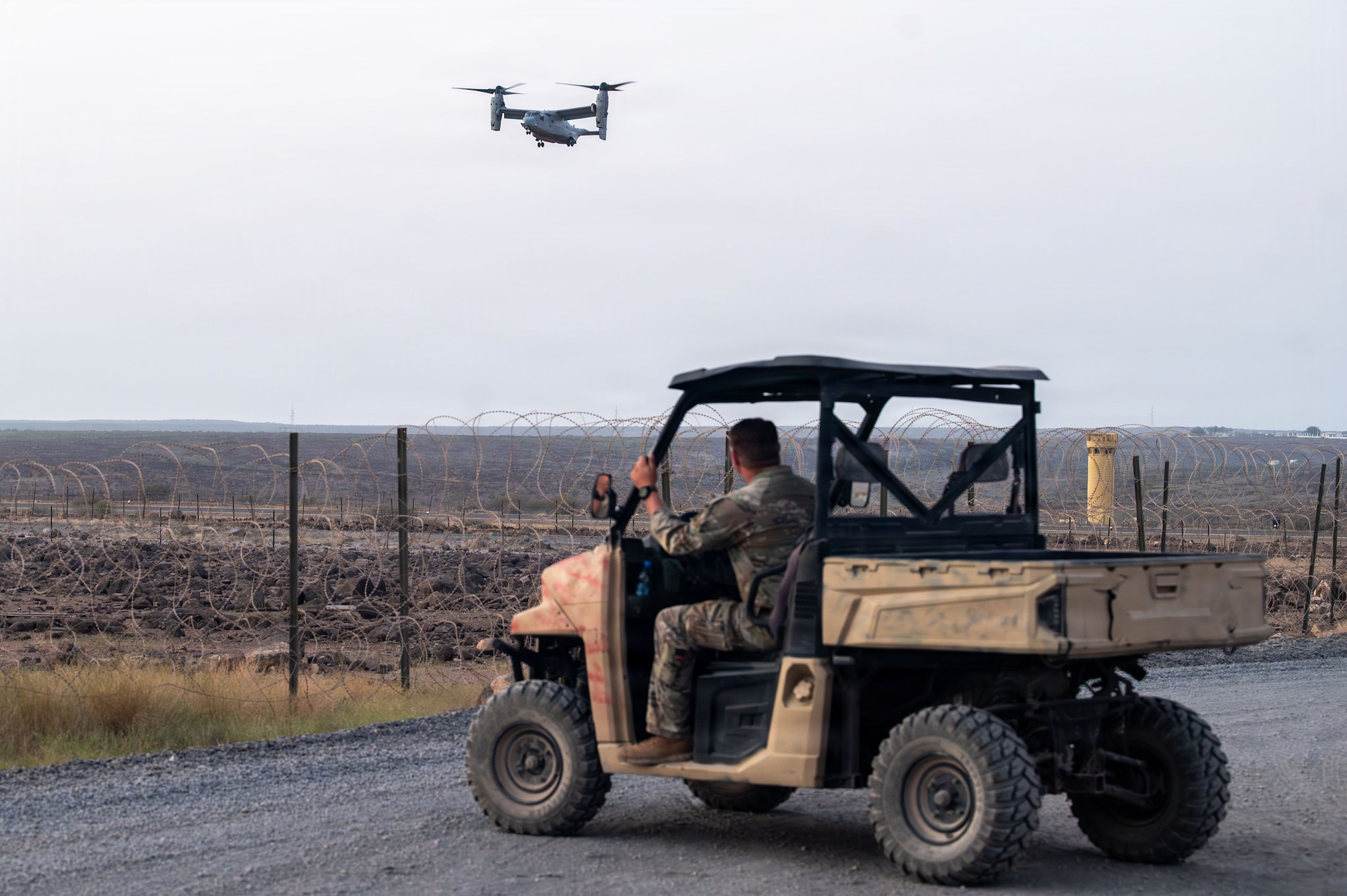 Soldier Watches Osprey
